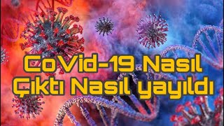 CoVid-19 NASIL ORTAYA ÇIKTI VE YAYILDI ?!!