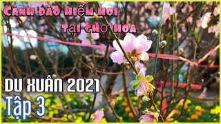 Du Xuân 2021: Cành đào hiếm hoi tại chợ hoa xuân Tân Sửa 2021 - TP. Quảng Ngãi