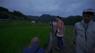 【4K Live】Saitama Terasaka Rice Terraces firefly and candle night