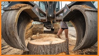 Dangerous Fastest Monster Stump Removal Excavator | Powerful Stump Grinding Machine Wood Working