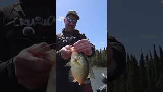 Reelin’ is For Suckers #boatflip #ontariocrappie #crappiefishing