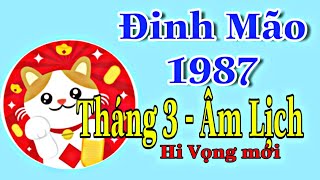 Đinh Mão 1987 Tháng 3 ÂL Thắp Lên Hi Vọng Mới Từ Tháng Này