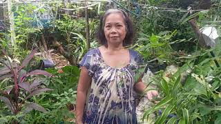 NANAY AIDA'S GARDEN I REQUEST GRANTED I-VLOG KO DAW I PAGBATI SA LAHAT NG KABABAIHAN WOMEN'S MONTH