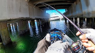 Spotted Bay Bass on the kayak- drop shot was the key