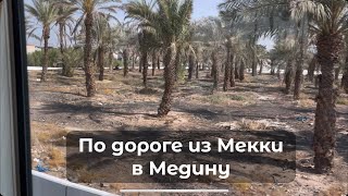 Дорога из Мекки в Медину