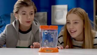 Sea Monkeys TVC