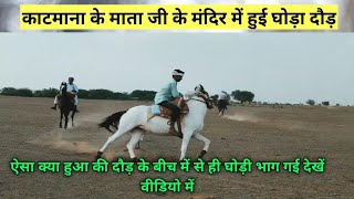 घोड़ा दौड़ प्रतियोगिता | horse racing competition | Stallion horse racing competition