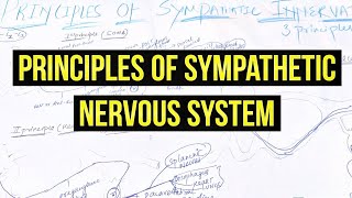 PRINCIPLES OF SYMPATHETIC NERVOUS SYSTEM