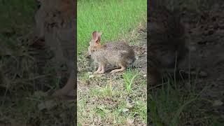 Cute New Baby Has Grown Since Mother's Day