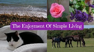 Being Frugal | Enjoy Precious Time | The Enjoyment Of Simple Living