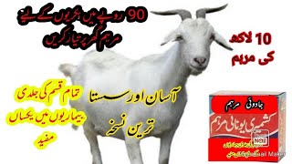 Goat Farming Tips|Best Marham For Goat's Skin Problem|10 lakh wali Marham|#goat #goatfarming #hansa