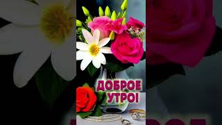 Доброе утро💖 Солнечной погоды🍁 Бодрого настроения 💝