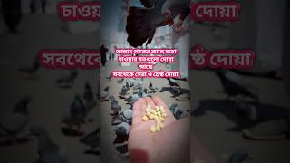 🤲আল্লাহর/ কাছে ক্ষমা 🌹চাওয়ার সব থেকে সেরা ও শ্রেষ্ঠ দোয়া #islamic #shortvideo #shorts