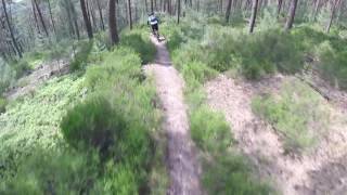 Raw - The Pfalz trail - Germany mtb Trails