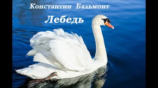 Константин Бальмонт - Лебедь. Стих.Konstantin Balmont - The Swan. Poem.