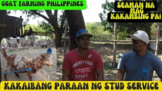 PAG BISITA SA KAMBINGAN NI BOSS MALOY TUMBAGA SALE /GOAT FARMING PHILIPPINES/SEAMAN NA MAY KAMBINGAN