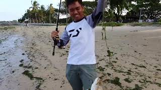 (Surfcast Series) Episode 3 - Family fishing @ pasir ris