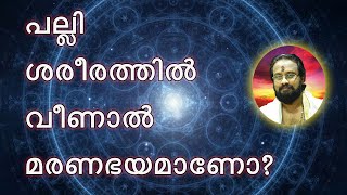 പല്ലി ശരീരത്തൽ വീണാൽ...II When Liizard   Fells to Our Body..II Thanthri Dileepan