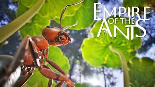 Empire of the ants | играем