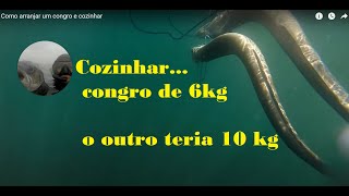 Como arranjar um congro e cozinhar...   Conger eel cook Conger eel 6 & 10kg lost