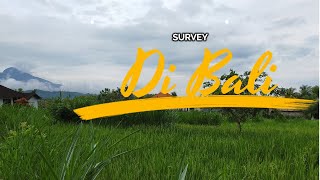 Survey di Bali | Kerja survey sambil nikmati pemandangan