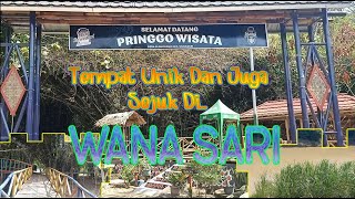 Wisata Alternatif : Taman Pringgo / Kebun Bambu Wanasari  ( KAB. BREBES )