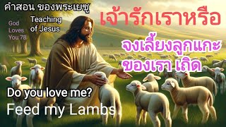 คำสอนของพระเยซู12 (เจ้ารักเราหรือ จงเลี้ยงลูกแกะของเราเถิด)Do you love me?Feed my Lambs/ อ.วิชเญนทร์