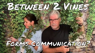 Between 2 Vines Episode 10- Best Forms  of Communication - When Buying A Home