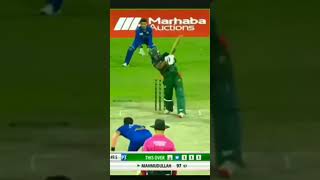 98 ran out #cricket #cricketlover #viratkohli #mahmudullah