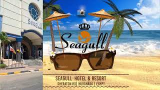 Seagull beach resort, Sheraton Rd, Hurghada