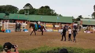 Vaulting CHA 20may18(1)