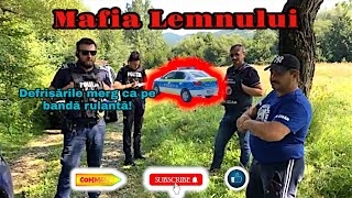 Mafia Lemnului! | Defrisarile merg mai departe, autoritatile stau pe loc! | Video 96