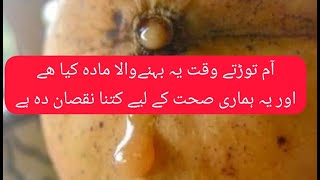 what is mango doog|ghar ka doctor