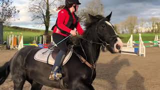 JUMPING SCHOOLING