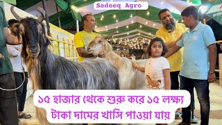 ১৫ হাজার থেকে শুরু করে ১৫ লক্ষ্য টা*কা*র খাসি নিয়ে এবারের কোরবানির ঈদ উপলক্ষে সাদিক এগ্রোর প্রস্তুতি