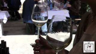 Wine Oh TV - Traveling_in_Tuscany/_La_Dolce_Vita_Wine_Video