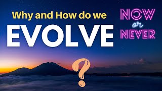 Why and how can we EVOLVE