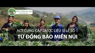 Bách Hoá  Xe Lam | UY TÍN  - TRÁCH NHIỆM  - CHẤT LƯỢNG - GIÁ  THÀNH HỢP LÝ