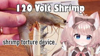 Don't do this to shrimp Mr Sausage | VTuber Fuwa Reacts to Ordinary Sausage