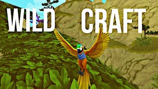 Небольшая прокачка орла в wild craft