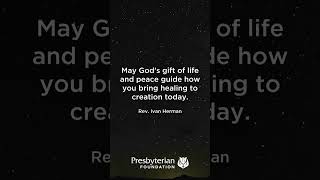 "May God’s gift of life and peace guide how you bring healing to creation today."