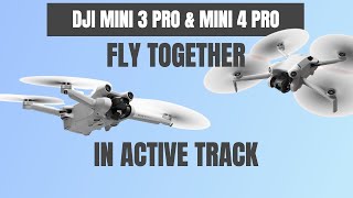 What happens when you fly DJI Mini 3 Pro and DJI Mini 4 Pro together? #shaunthedrone