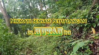 Wisata Lokal : Hutan Pangebonan ( KAB. BREBES )