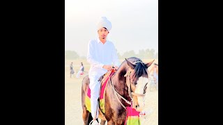 Beautiful Ghora Owner Malik Adnan sahib from Bakhar. Part 1 خوبصورت نخریلہ گھوڑا مالک دوست عدنان ملک