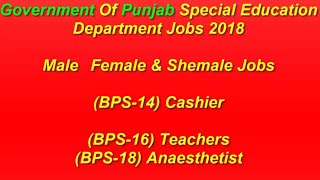 Pakistan Latest Punjab Government Jobs 2018 Punjab Special Education Department Jobs 2018