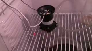 fermenting fridge controller