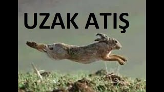 TAVŞAN AVI, ÇOK UZAK ATIŞ, hare hunting, Охота на зайца- Caccia alla lepre, أرنب صيد-, हरे शिकार,