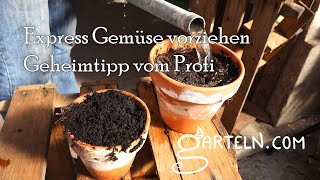 Aprilscherz - Super Express Gemüse vorziehen - der Insider-Gärtner Tipp