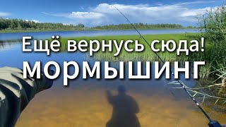 ОЗЕРО, куда приеду ещё! #мормышинг #рыбалка #nanojig #fishing