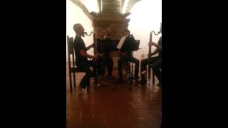 Va Larga (excerpt) for bass clarinet quartet by Cornelius Boots. Live in Italy 2013.